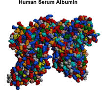 albumin