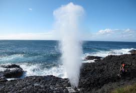 blowhole