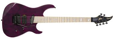 caparison