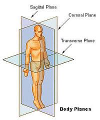 coronal