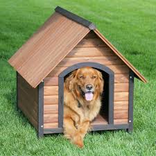 doghouse