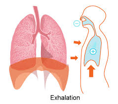 exhalation