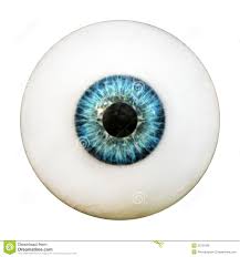 eyeball