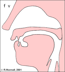 fricative