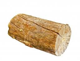 log