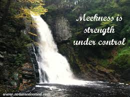 meekness