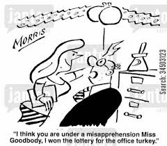 misapprehension