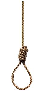 noose