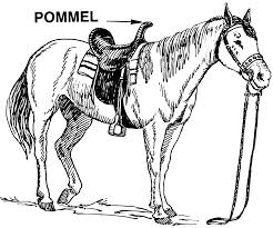 pommel