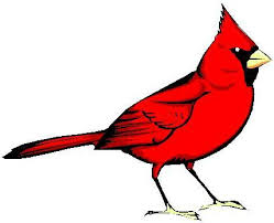 redbird