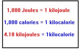 kilocalorie