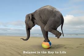 well-balanced